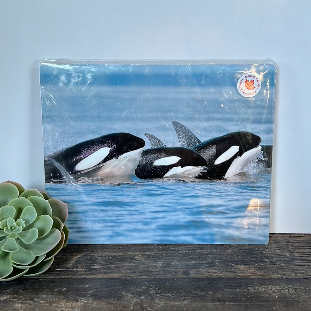 PACIFIC Aluminum killer whale art - 8x10” - NEW in package